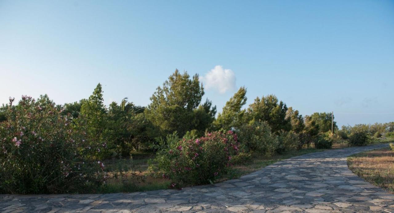Kouremenos Beach House West Sitia  Eksteriør billede