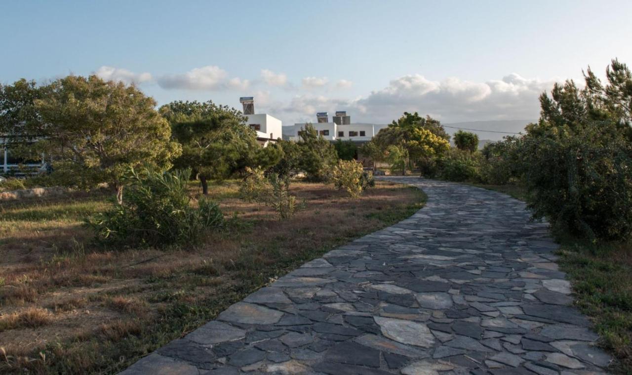 Kouremenos Beach House West Sitia  Eksteriør billede